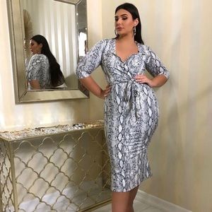 Long sleeve Dress